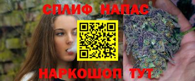 apvp Лесосибирск