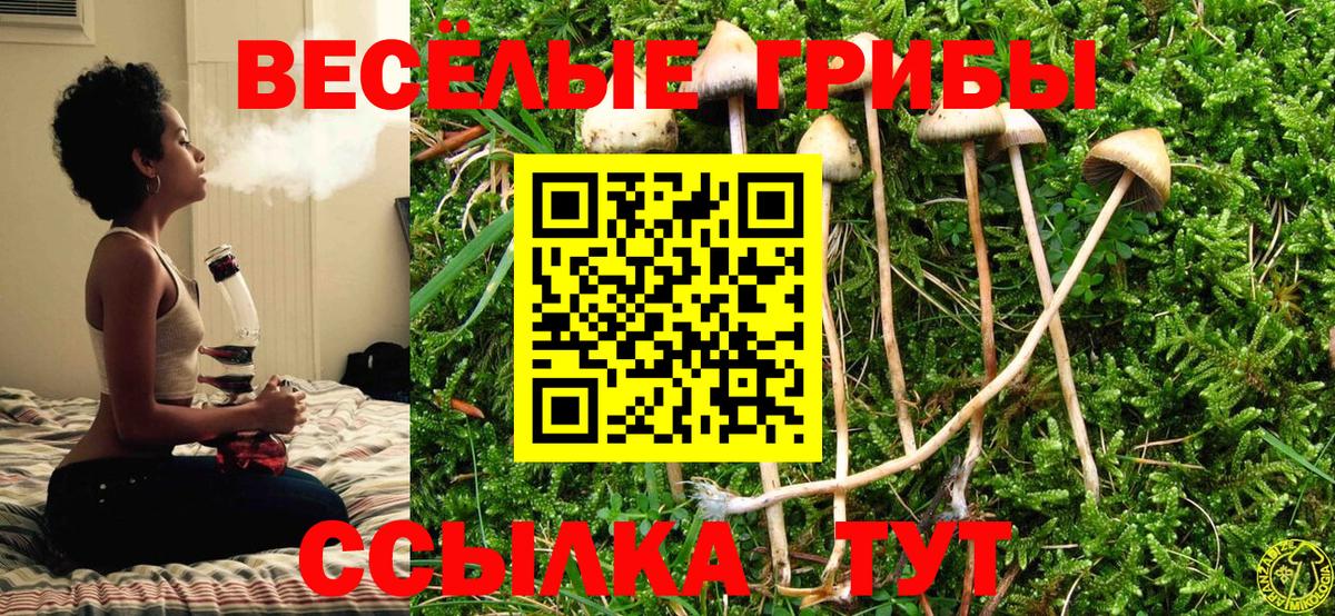 Клин  Галлюциногенные грибы Psilocybine cubensis  Вход с VPN  Псилоцибиновые грибы Psilocybine cubensis 